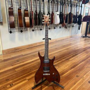 Alvarez BC Rich Copy 1980’s
