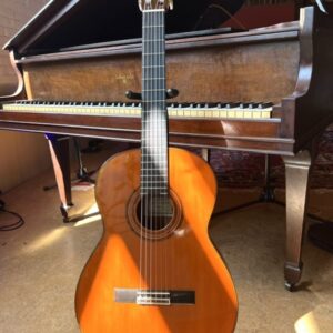 Kodaira Artist AST-30