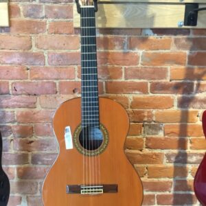 Carlos Sanchez Molino CS-2