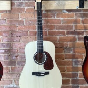 Norman Studio B50